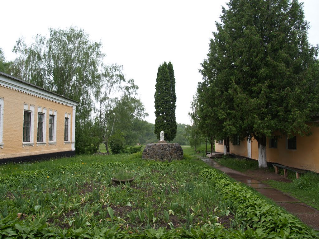Козелец, во дворе ветеринарной клиники