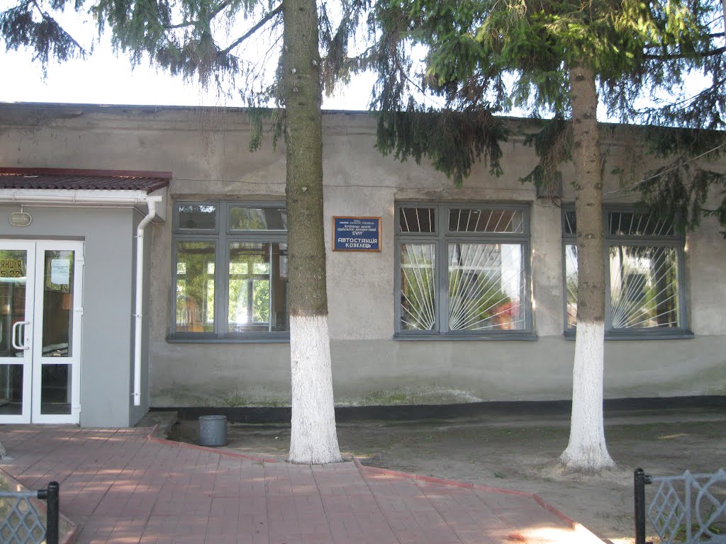 Козелець