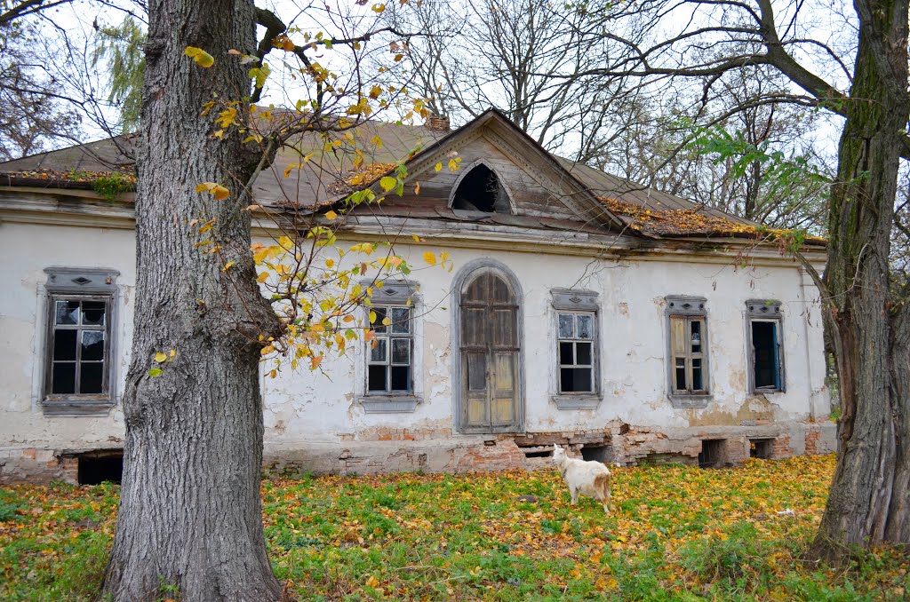 Козелец. Усадьба Дараганов в Покорщине. Усадебный дом II пол. 18 в. / Farmstead house of the second half  18 cen.