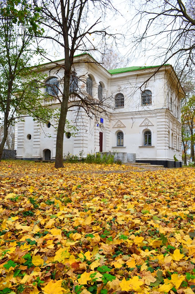 Козелец. Полковая канцелярия 1756-60гг. Украинское барокко / Regimental office of 1756-60. Ukrainian baroque