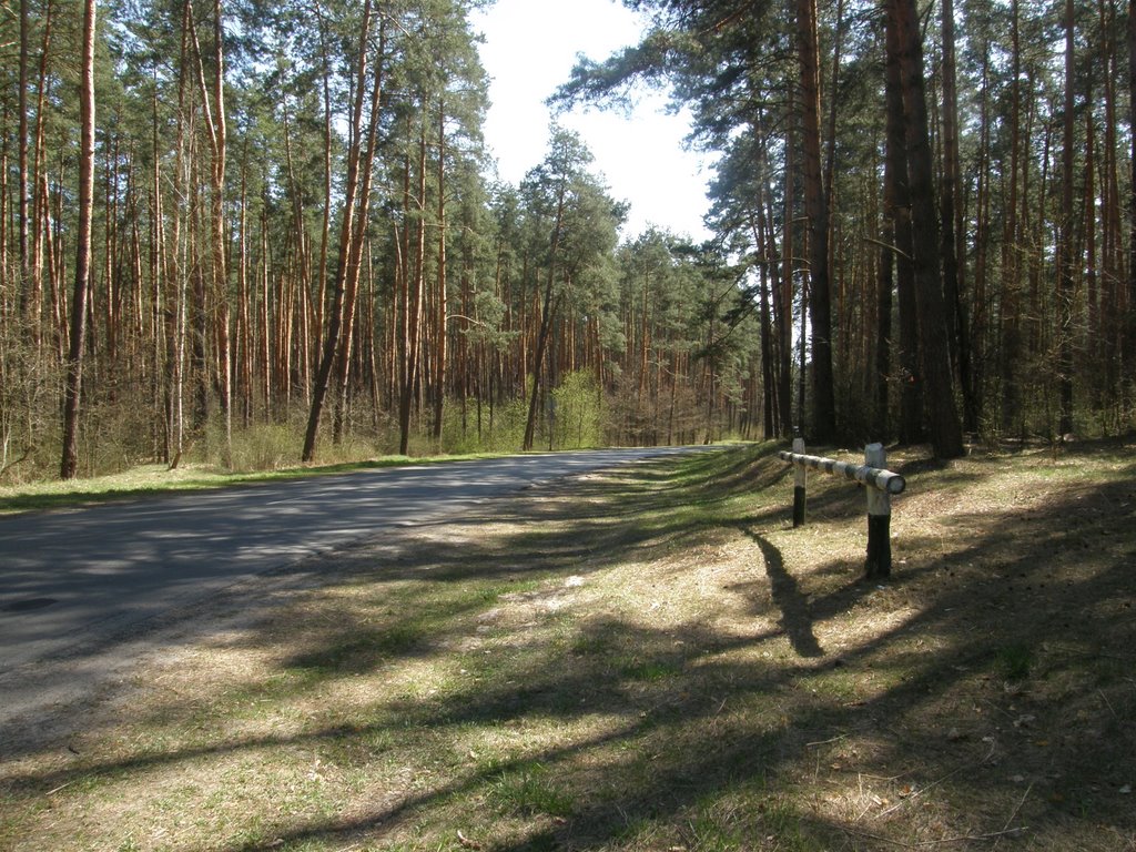 дорога на Короп