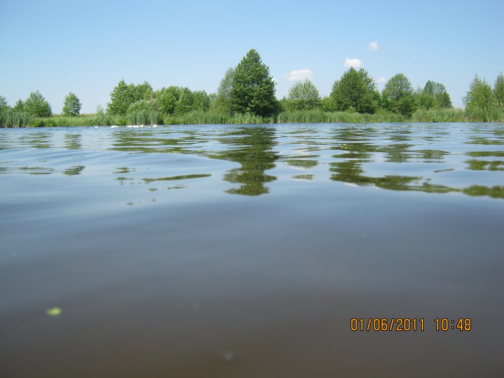 Над водою
