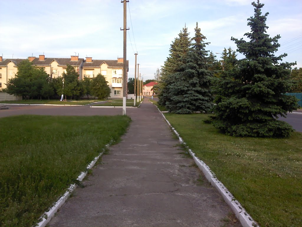 Тихий летний вечер