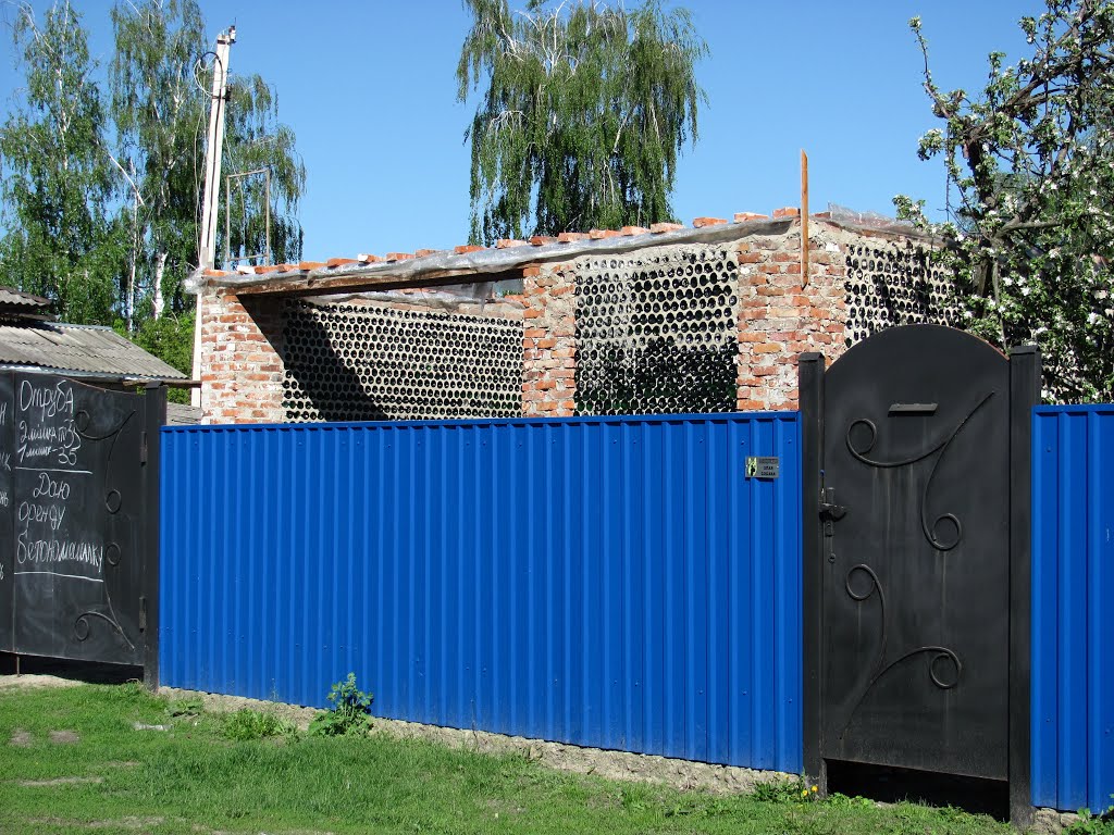 Korop