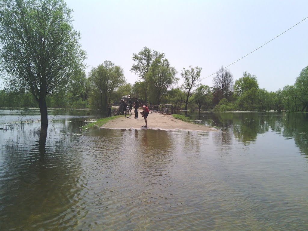 Затоплена дорога