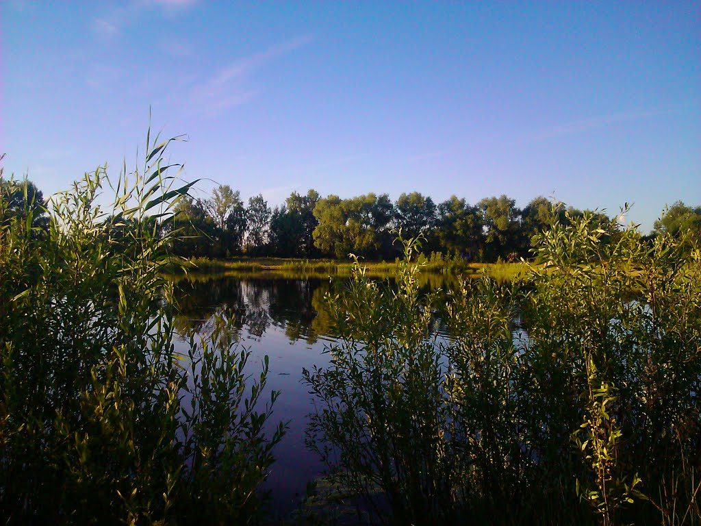 Ставок біля колхозу ім Горького