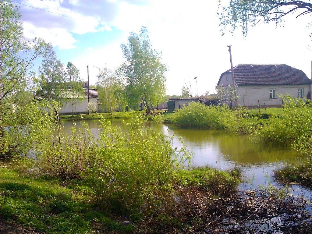 Ставок на вулиці Франка