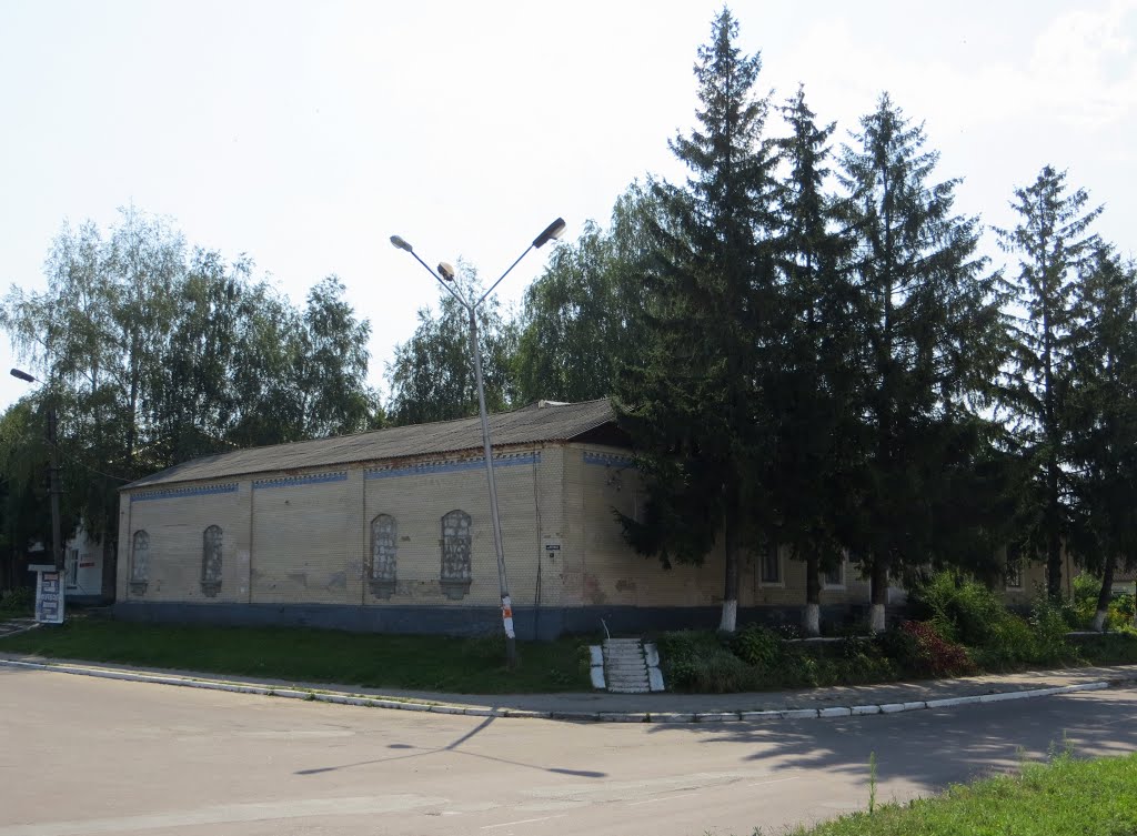 Куликівка Чернігівської області. Спотворена будівля (імовірно земська школа) кінця ХІХ-го - поч. ХХ-го ст./ Kulykivka, Chernihiv region. Malformed building (probably rural school) (the end of XIX - early of XX century).