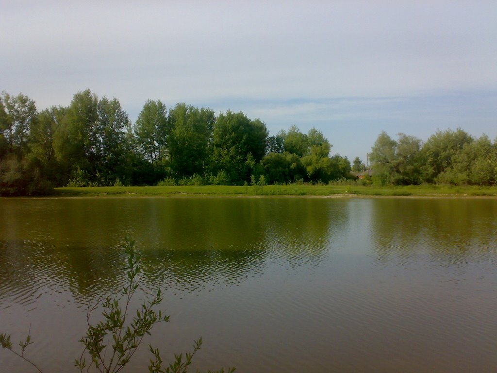 Ставок