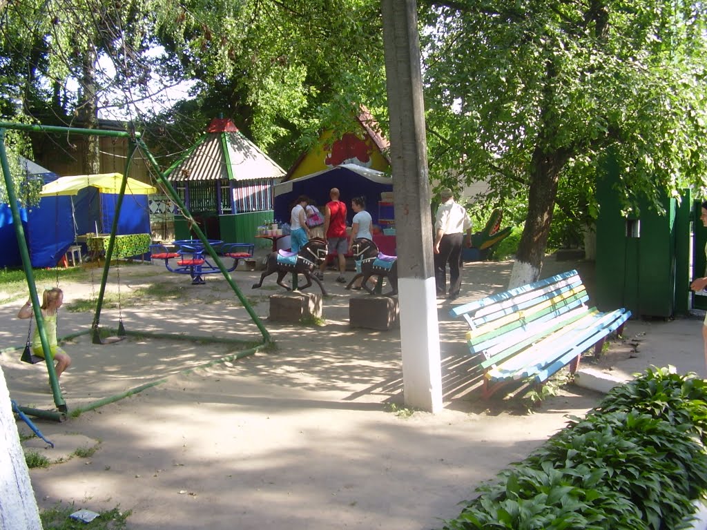 качели в зоопарке