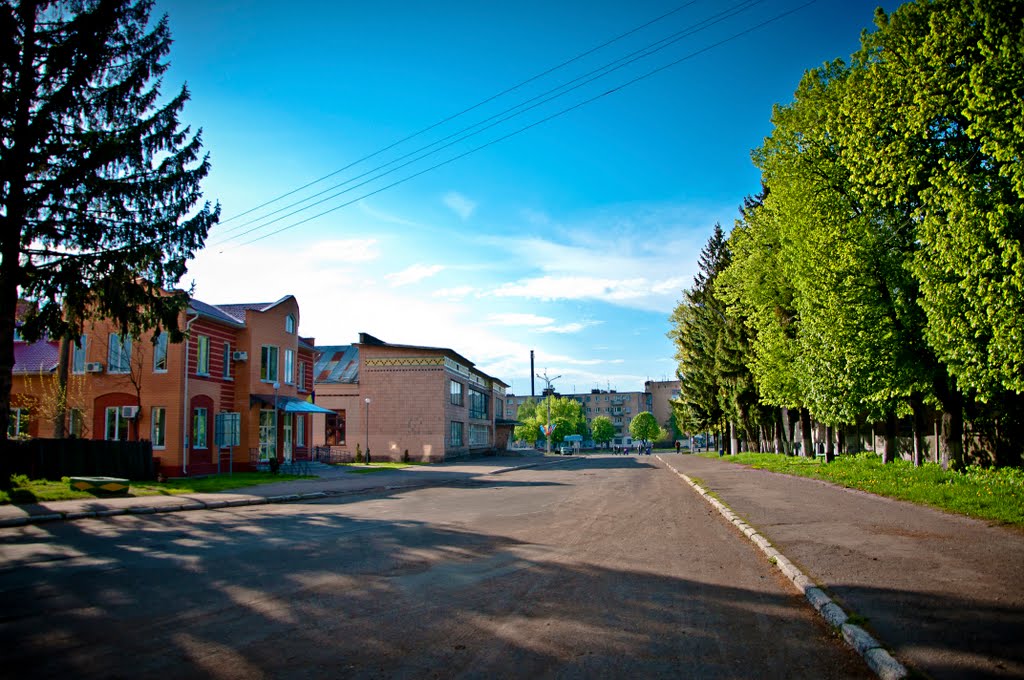 Центр занятости, городской дом культуры