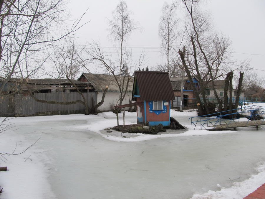 Замерзлий ставок в зоопарку