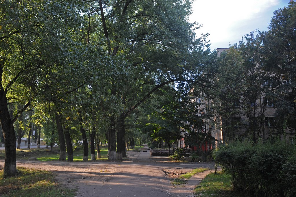 Улица Шевченко