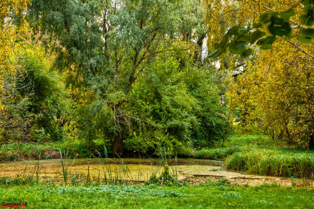 Графский парк