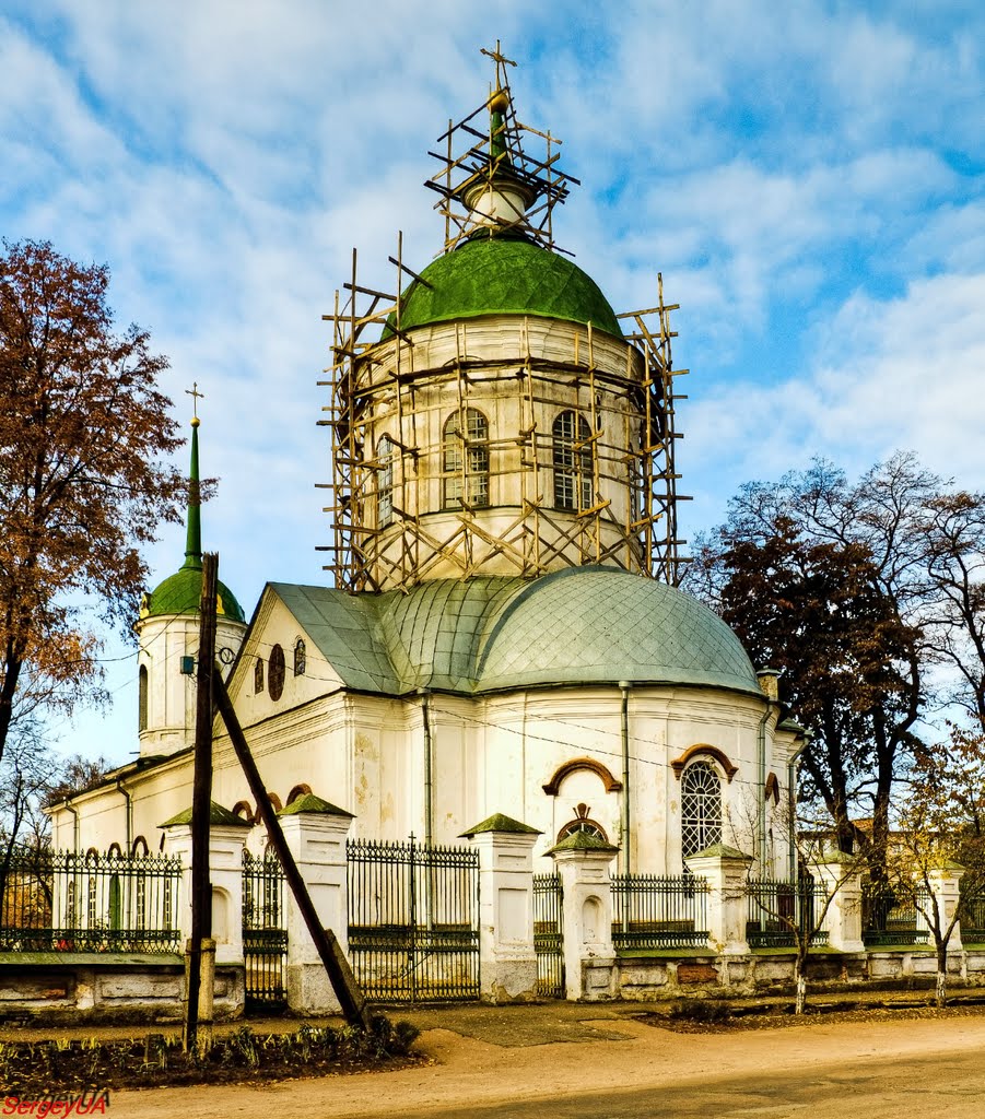 Церковь Василия Большого, 1788 г., (ул. Васильевская, 39)