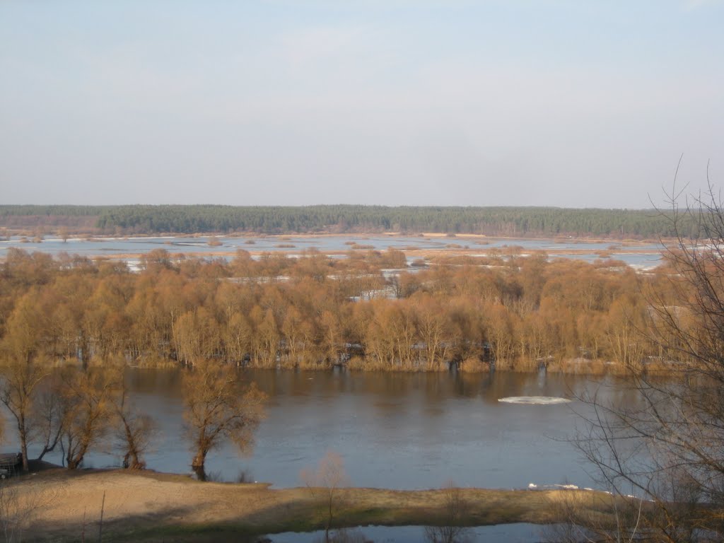 Разлив Десны. Вид со смотровой площадки