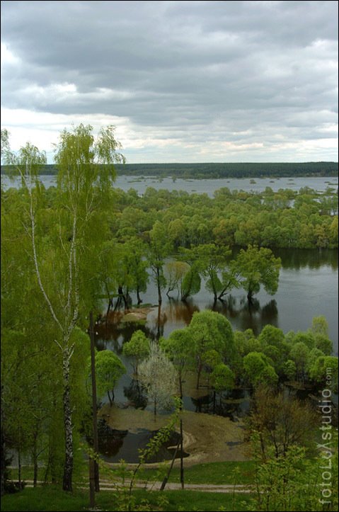 fotoluxstudio_Donetsk_678