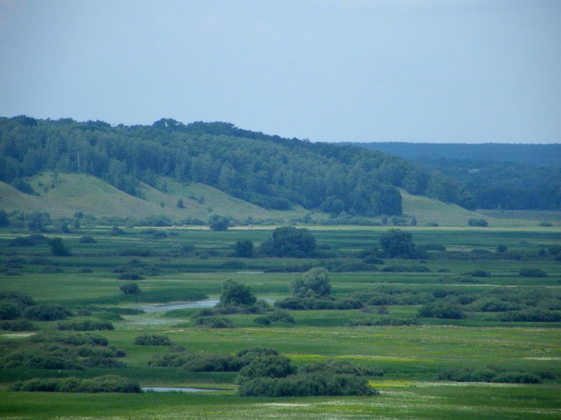 Деснянські луки з північної вежі