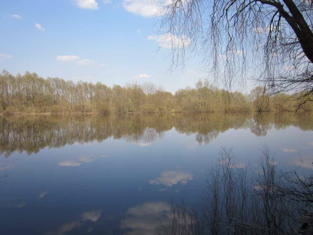 Desna as it is in the spring :)