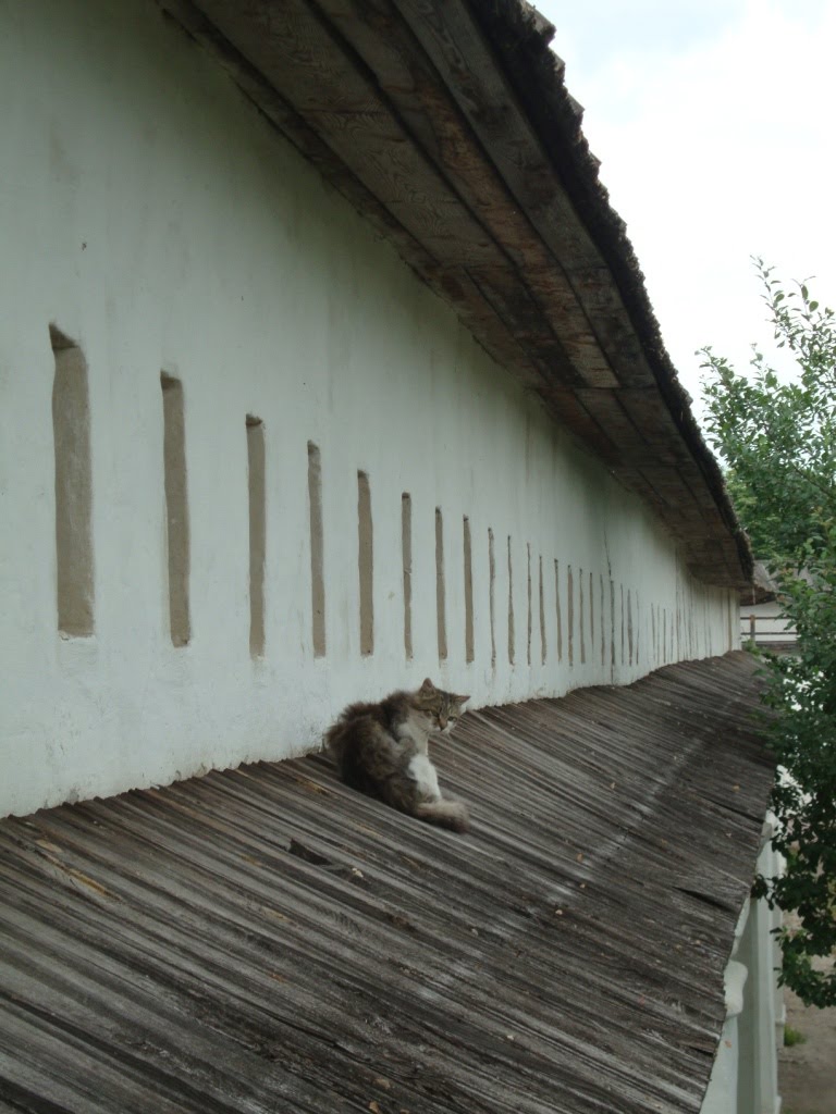 Novhorod-Siverskyi