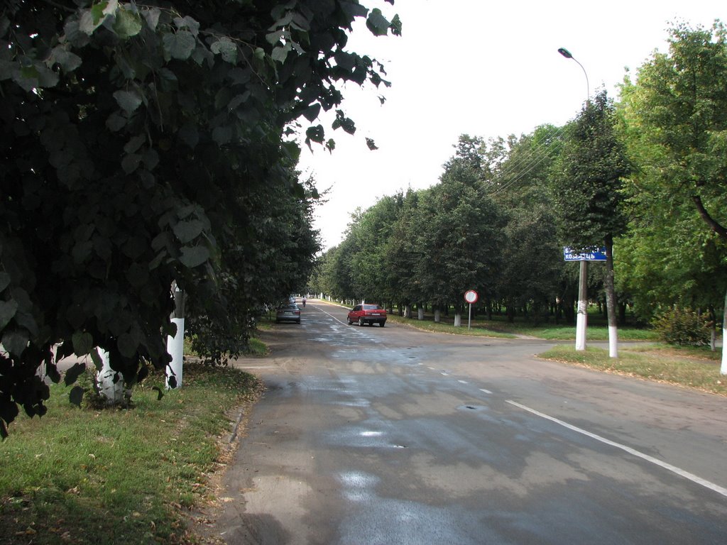 Вул. Центральна
