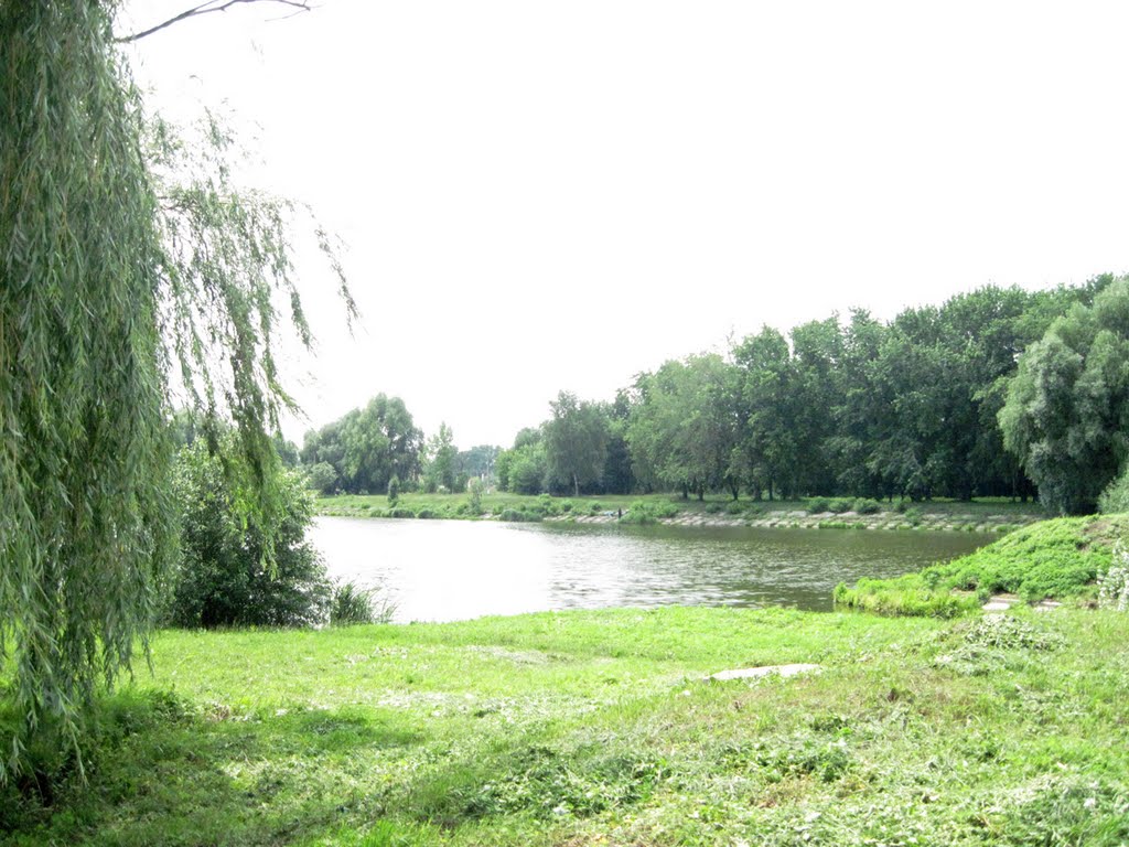 River by the downtown area