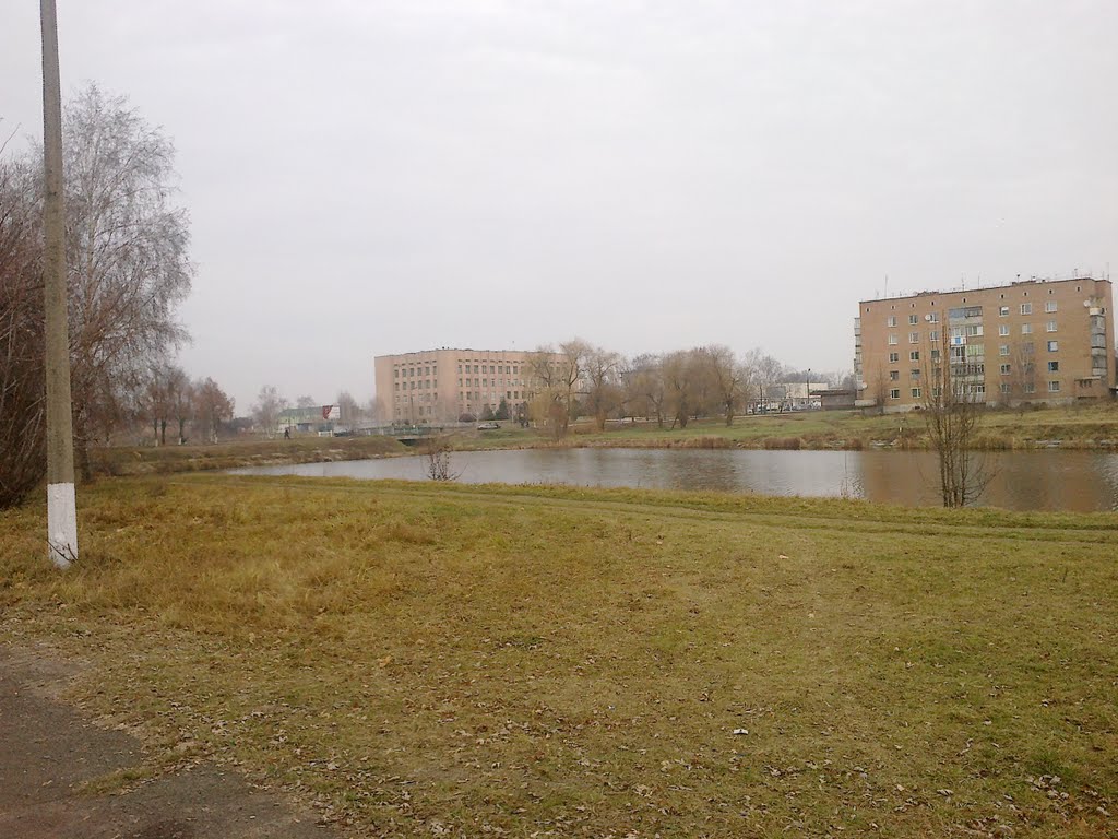 Ставок