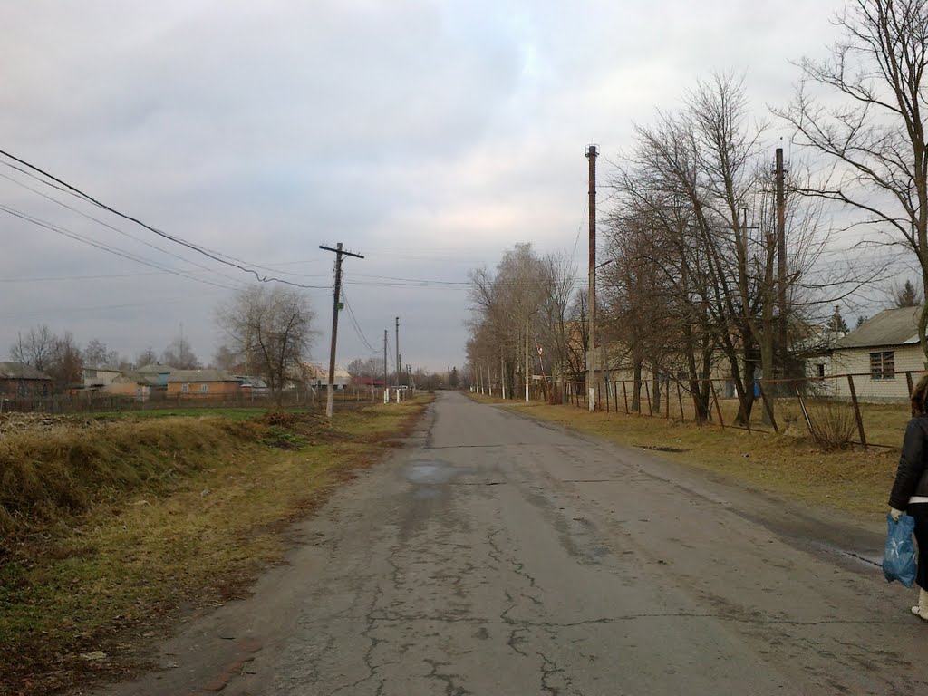вул. Шевченка