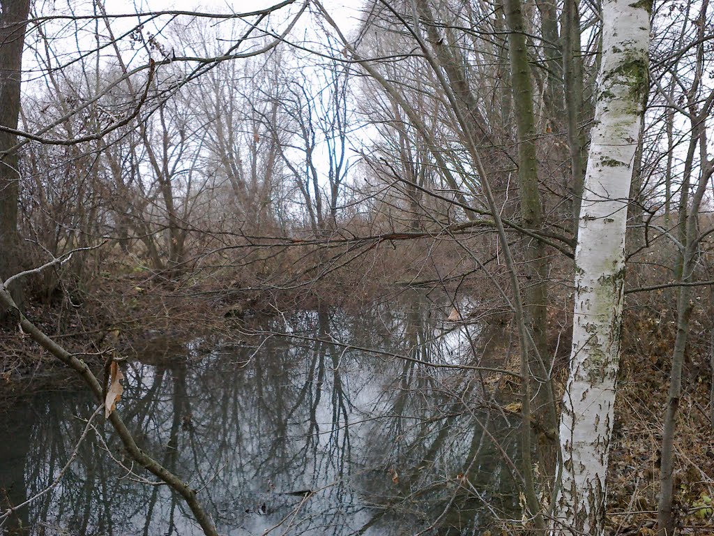 Nosivka