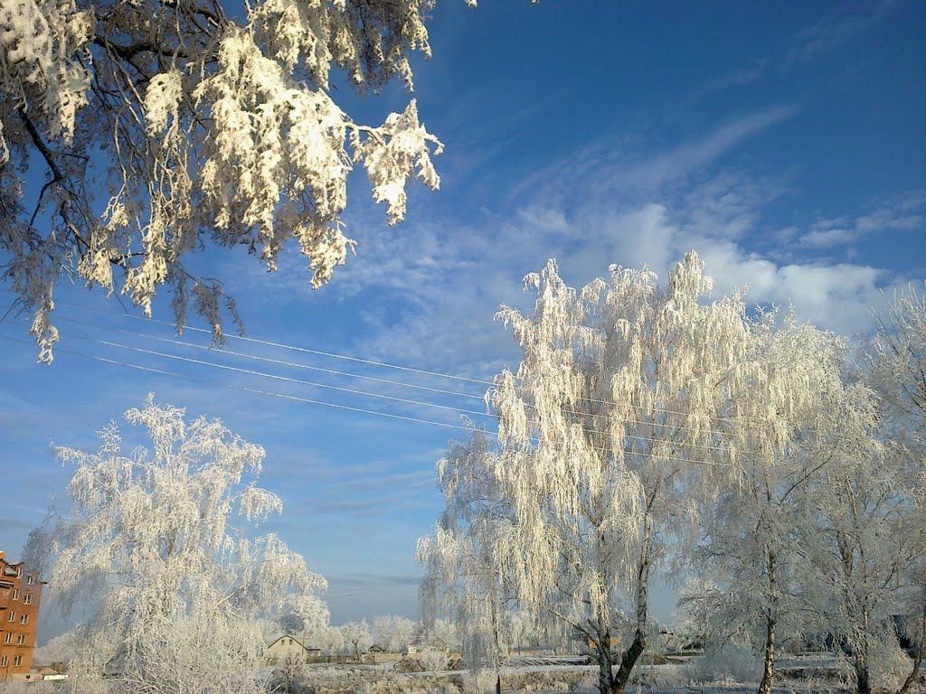 Грудень 1