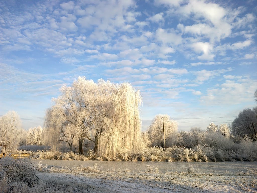 Грудень 4