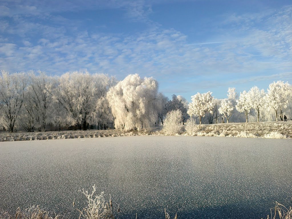 Грудень 5