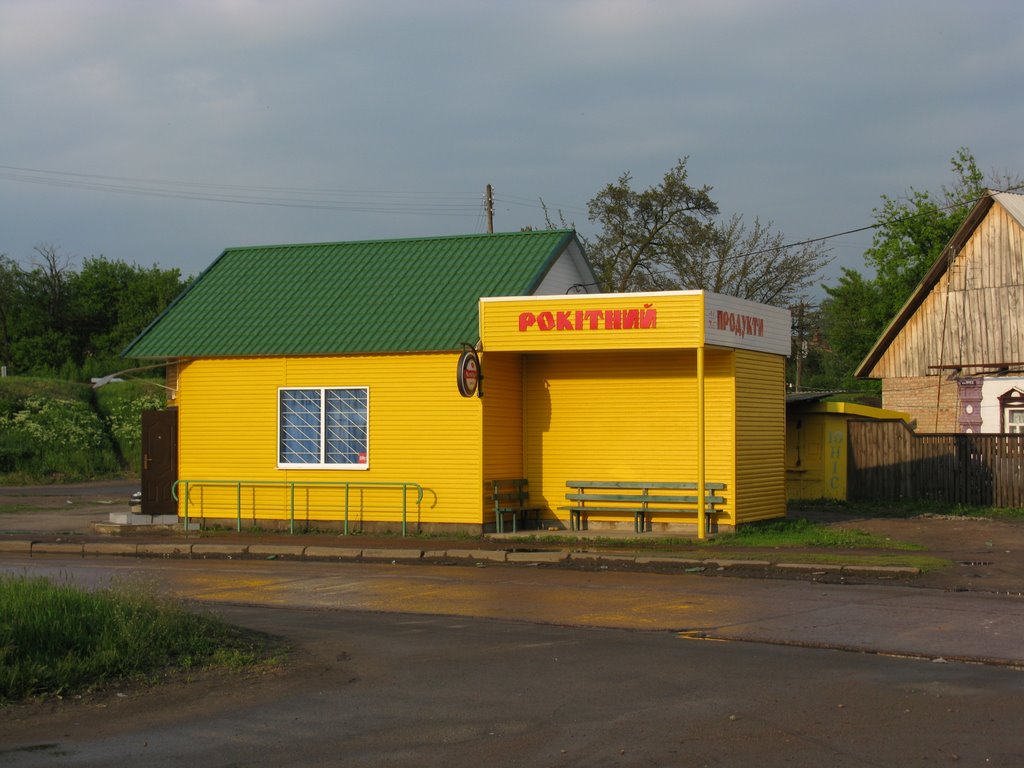 Остановка Рокитный