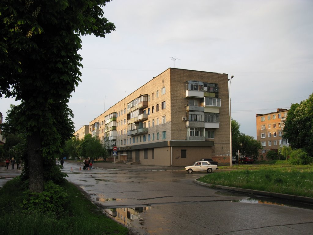 Дом