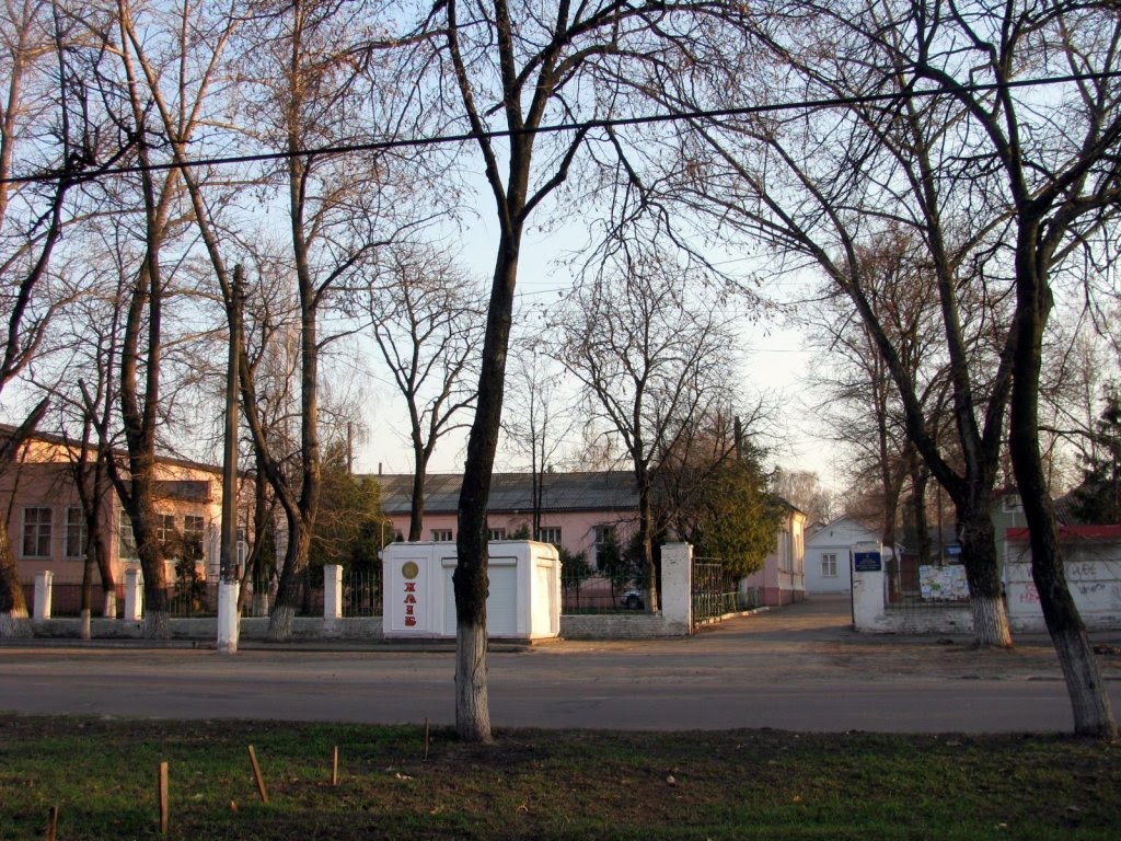 Районная больница (2010)