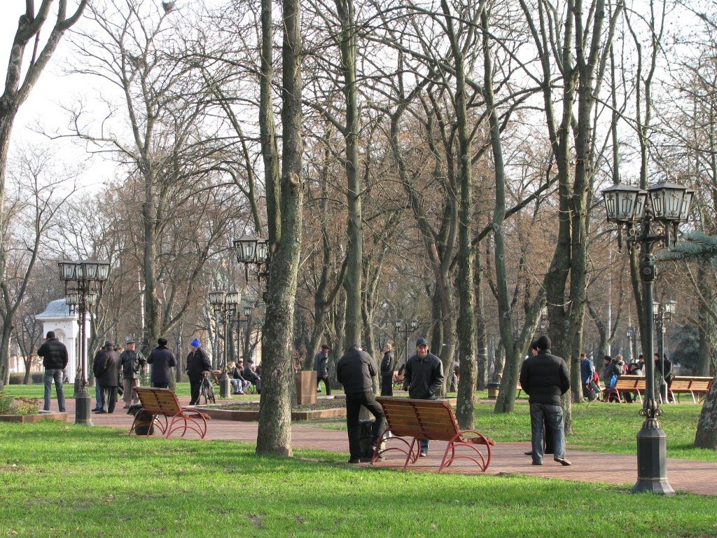 Парк. 24.11.2009