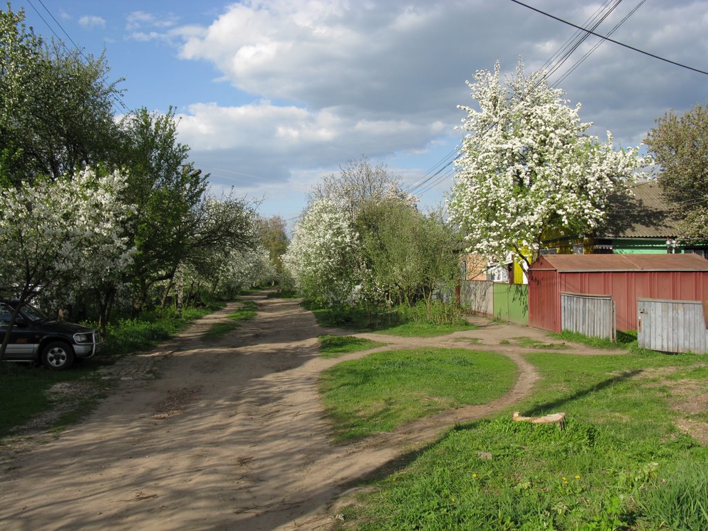 Вулиця Пiонерська