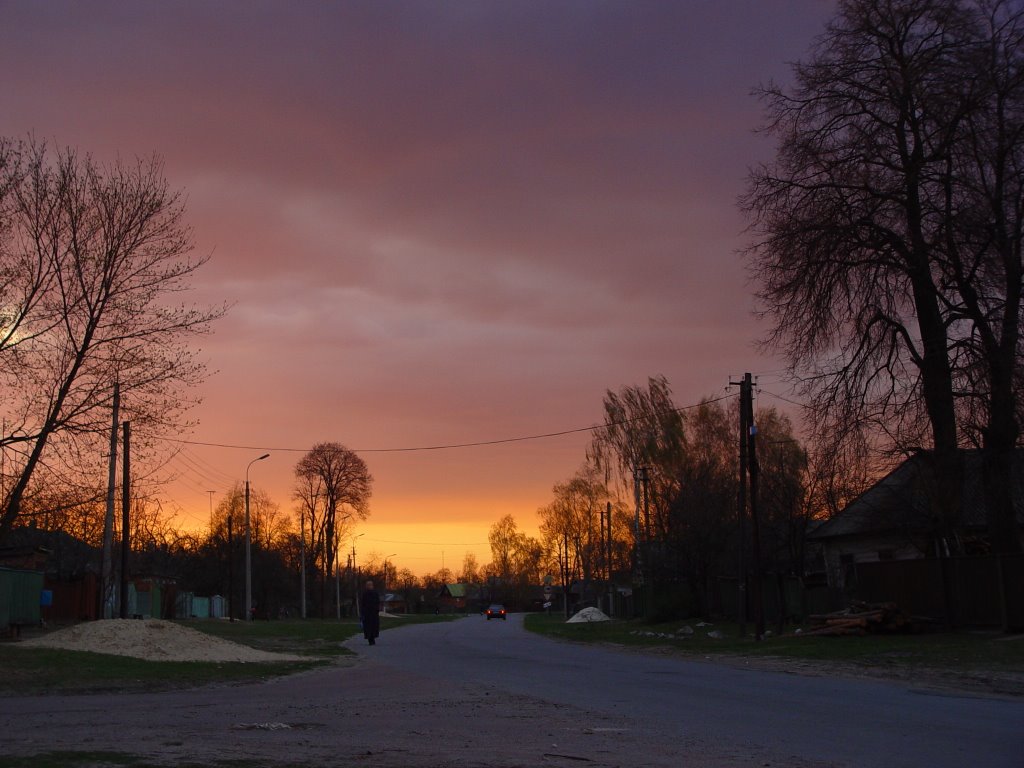 Kiev street, Ripky village, Chernihiv region