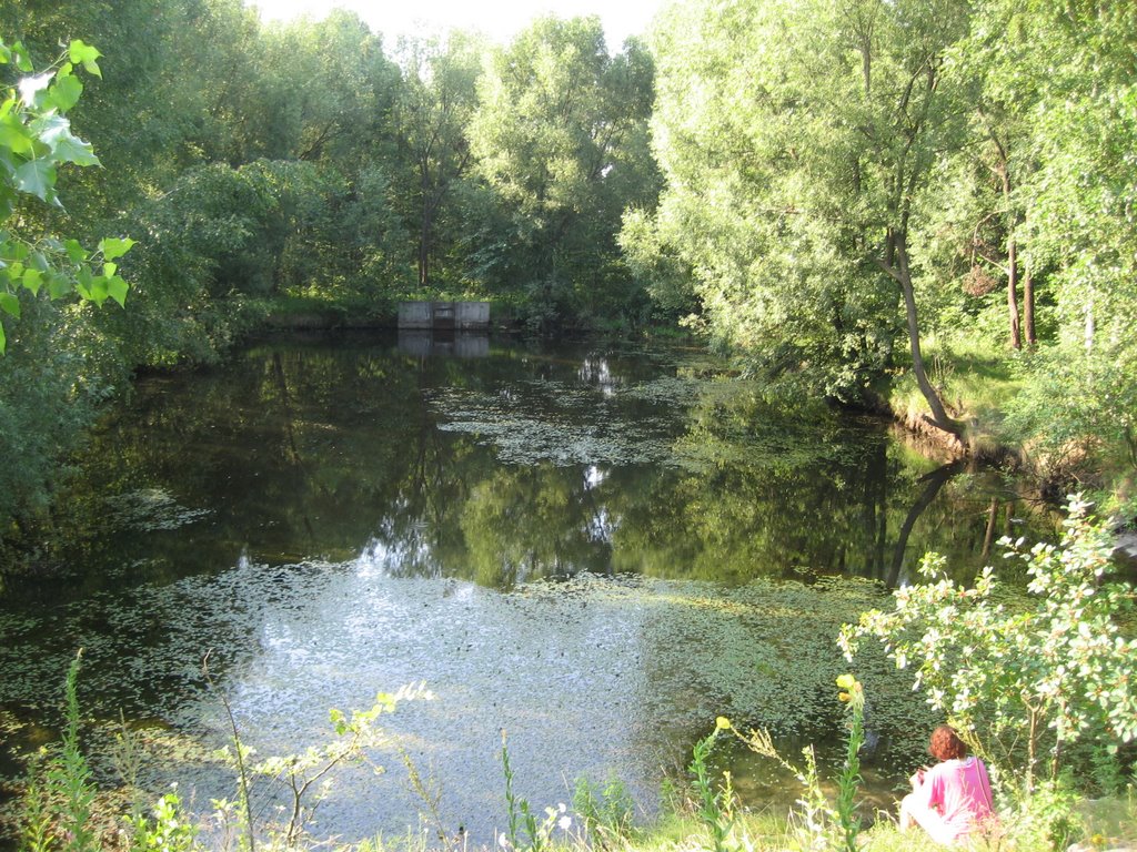 Ставок, июль 2009