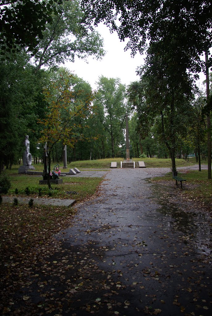 Репки
