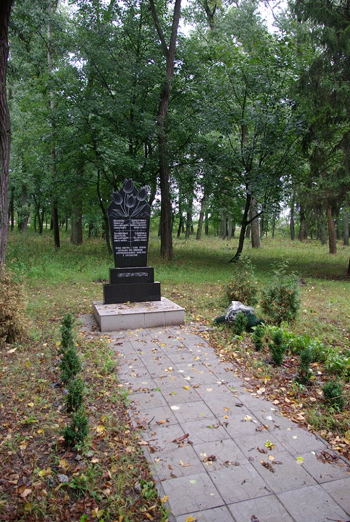 Репки