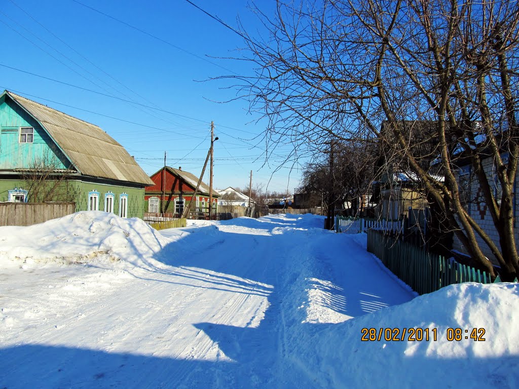 Сосница, улица Воскресенская