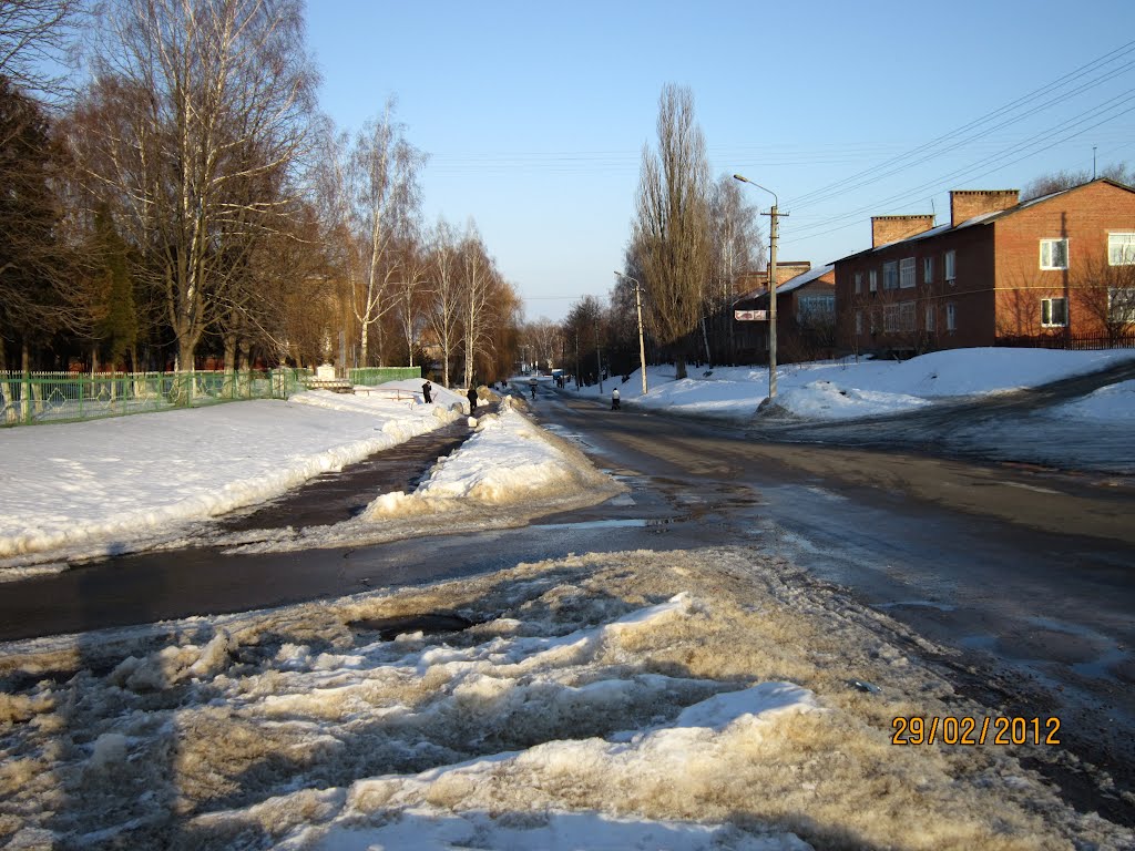 Возле лицея