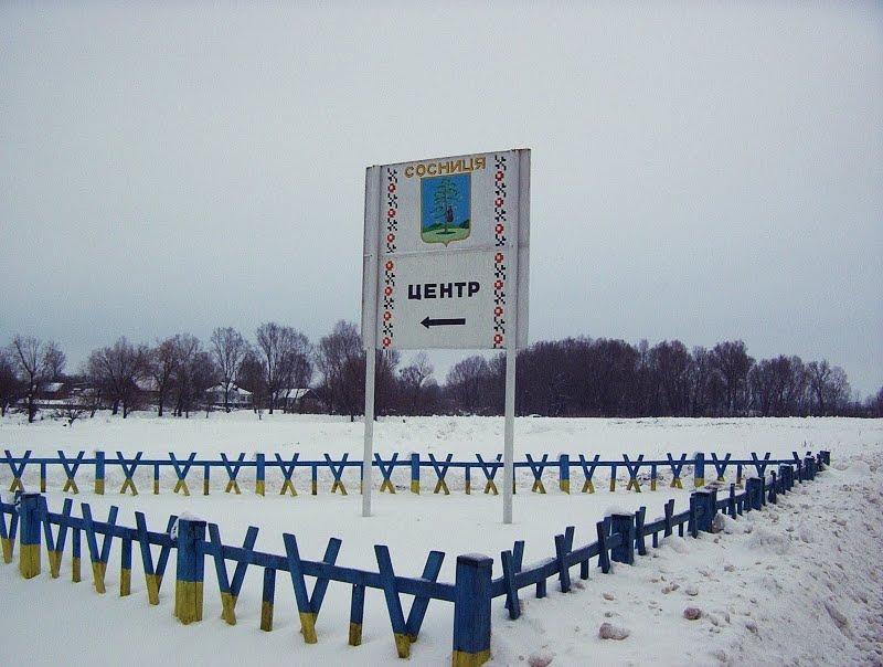 Вьезд в Сосницу