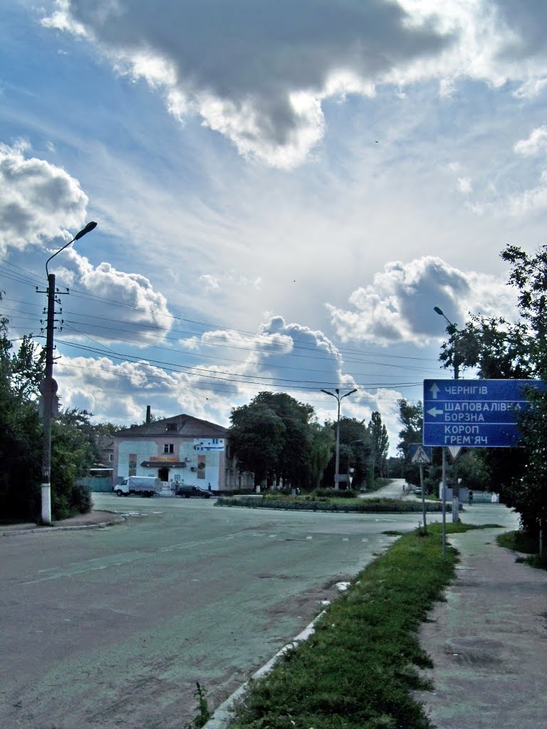 Возле круга. ул. Черниговская