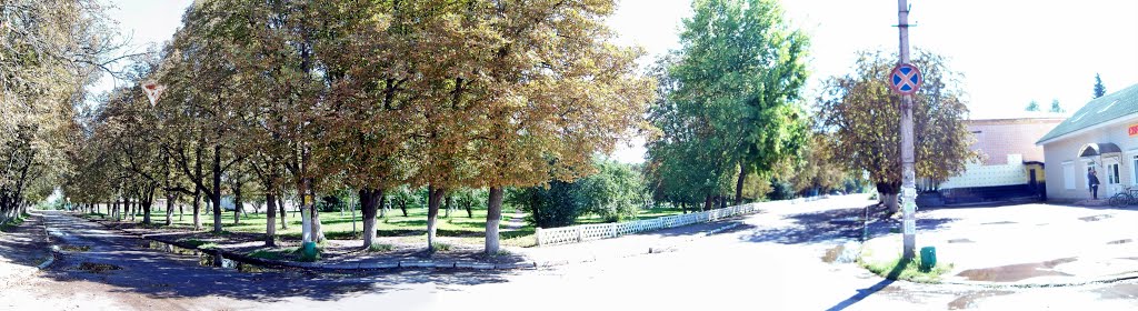 Перекресток ул. Образования
