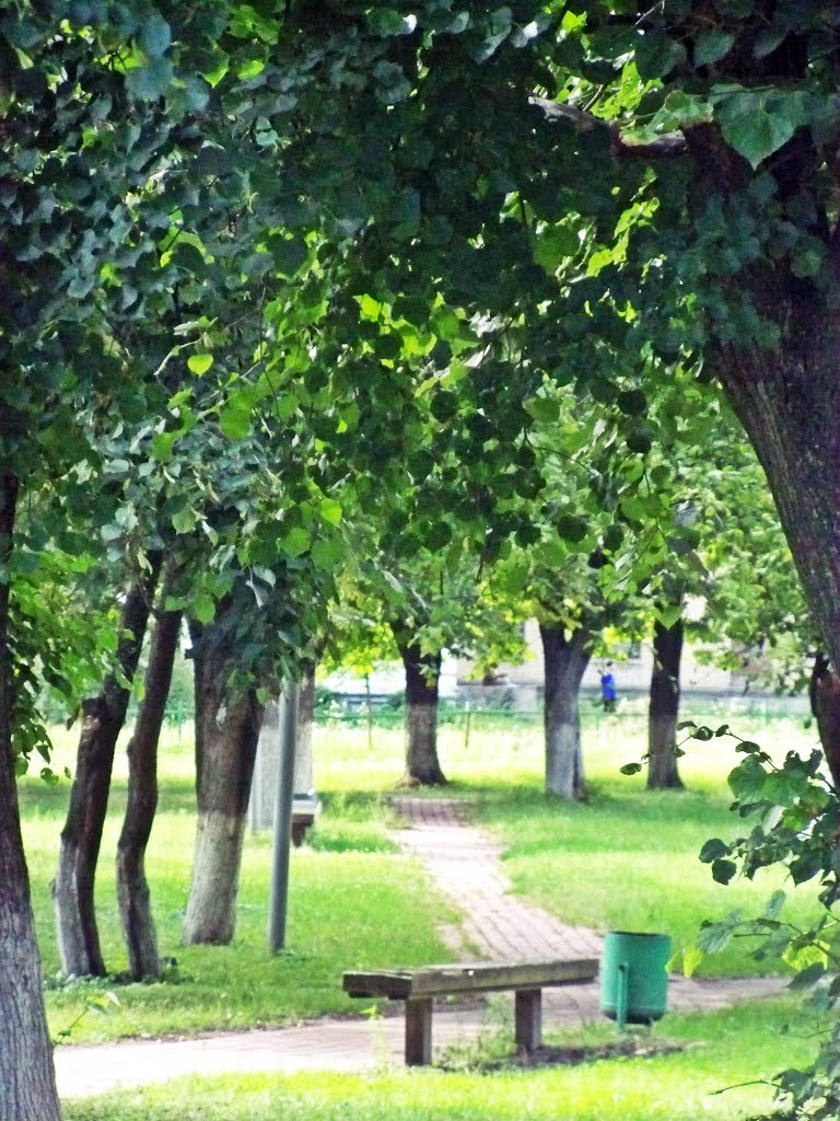 Центральный парк