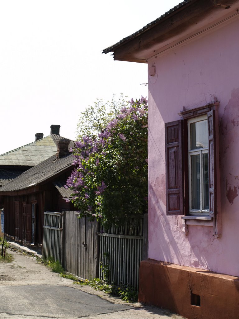 міський район Лісковиця