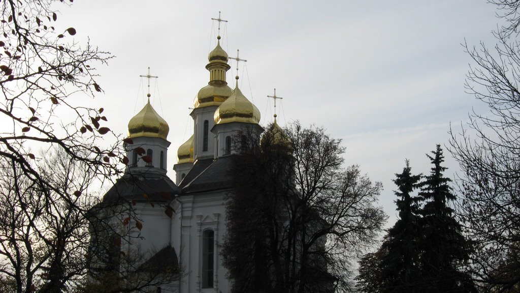 Церковь св. Екатерины (вид с Вала)
