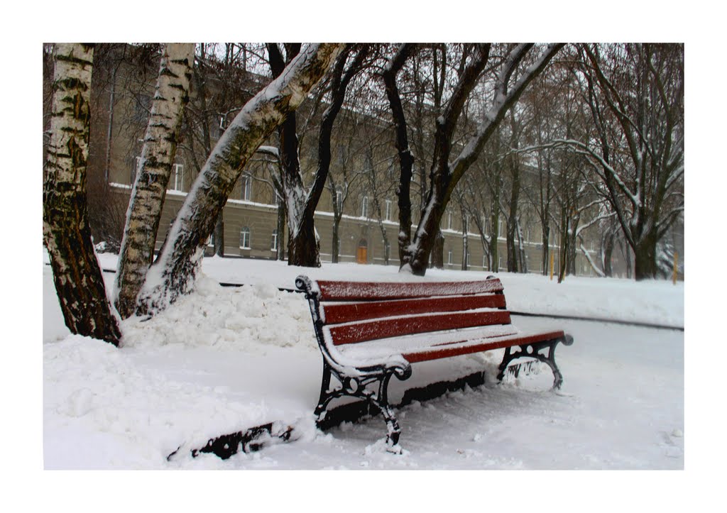 bench